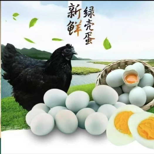 秭归县林间散养农家谷物绿壳土鸡蛋新鲜乌鸡蛋月子蛋顺丰包邮破损包赔