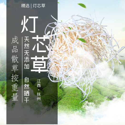 抚州灯芯草灯心草灯草芯新鲜中药材灯心草干货批发煲汤材料