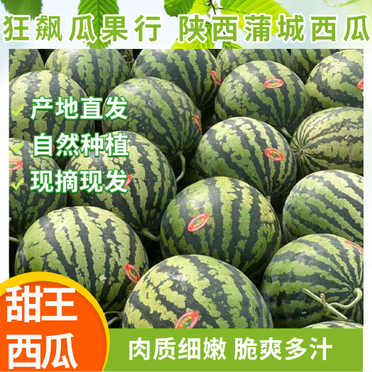 陕西甜王有籽正宗麒麟瓜当季现摘现发薄皮新鲜水果西瓜之乡