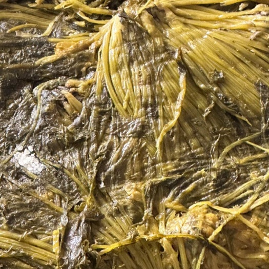 东台市江苏盐城东台芥菜雪里红批发供货精品