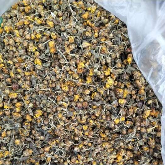孝昌县野菊花天然野菊花干花草茶