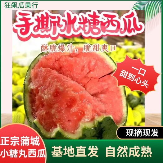 蒲城县剥皮小西瓜薄皮陕西正宗2k薄皮西瓜吊瓜小糖丸西瓜