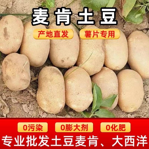 麦肯土豆基地直发，薯片，薯条专用
