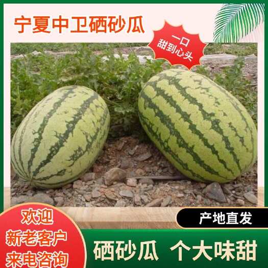 中卫宁夏中卫石头西瓜硒砂瓜自产自销批发大量有货西瓜