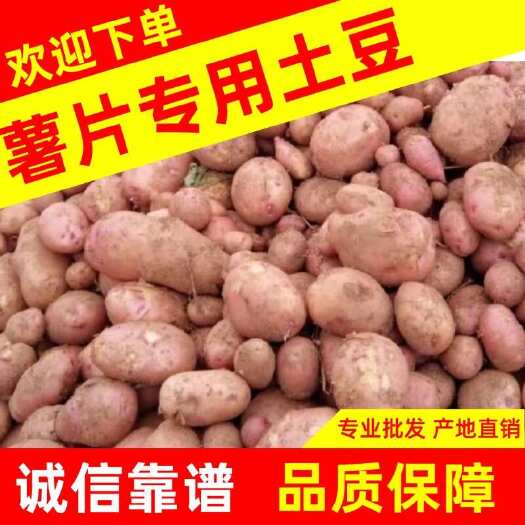 土豆合作88号炸薯片专用云南新鲜高山黄皮黄心马铃薯大量批发
