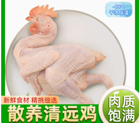 正宗广东清远鸡白切鸡散养麻鸡走地鸡三黄鸡冷冻整鸡