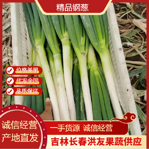 公主岭市吉林精品钢葱 长白大葱 大量上市 产地直发价