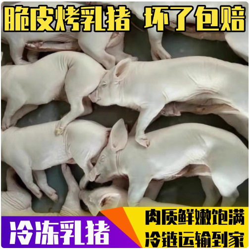 佛山整只烤乳猪熟食半成品新鲜脆皮烤猪肉商用酒席宴年货