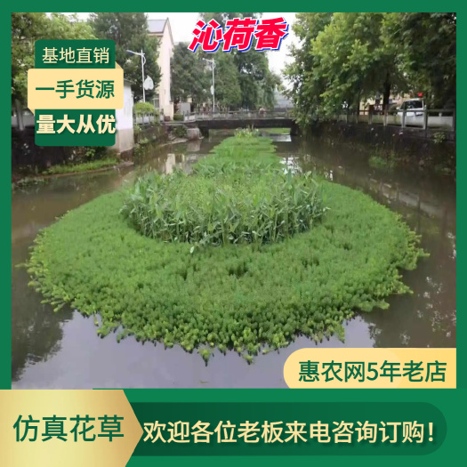 基地直销 生态浮岛 水生植物 水上花园 仿真花草
