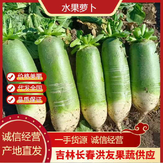 精品青萝卜 水果萝卜青皮萝卜 新鲜现挖 产地直供
