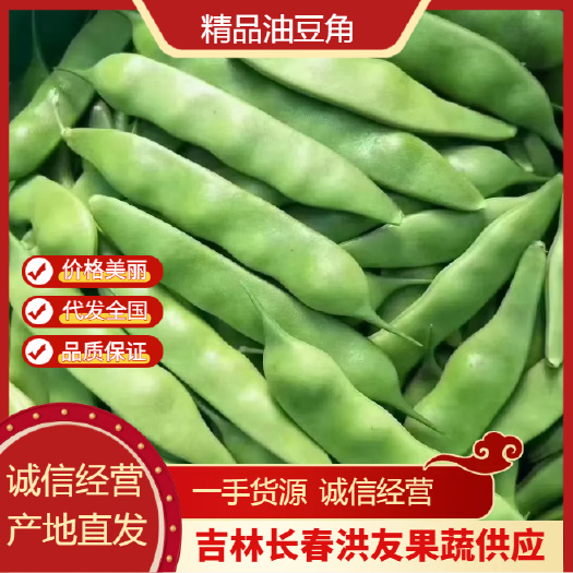 吉林精品大油豆角 一手货源 品质保障 供应市场商超