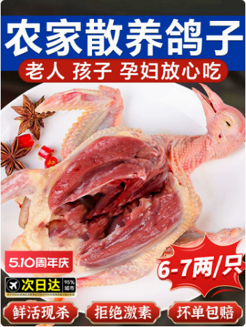佛山鸽子新鲜现杀活体非土鸽子老鸽子乳鸽鲜农家散养煲炖汤生鲜鸽子肉