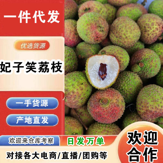 陵水县海南妃子笑荔枝一件代发产地直发一手货源对接各大电商平台