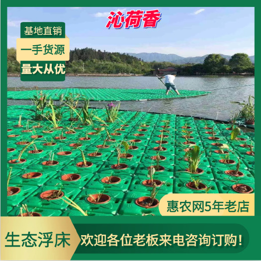 安新县基地直销 河北保定 水生植物 生态浮床 生态浮岛 全国发货