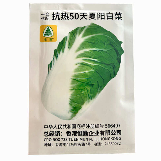 寿光市抗热50天夏阳大白菜种子 夏天种的菜早熟抗热耐高温夏季蔬菜