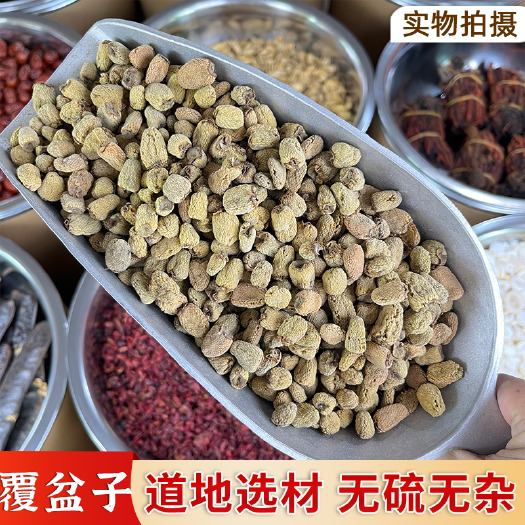 普宁市【永康元药业】覆盆子中药材覆盆子泡茶干果复盆子覆盘子果干