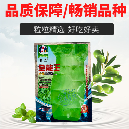 武汉【夏季可种】全能玉尖叶香莴笋种子耐热耐寒四季播皮薄肉香莴笋种