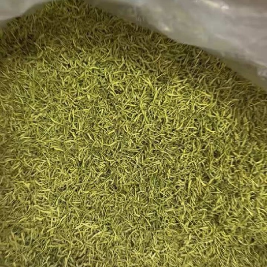 金银花 含量足纯绿色金银花 颜色好 带绒毛