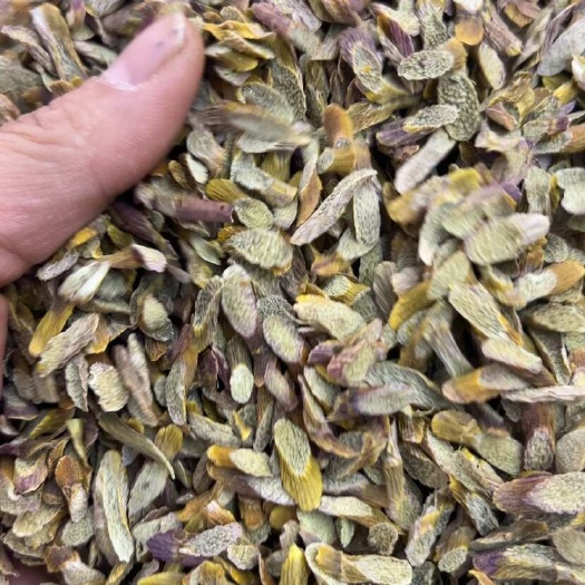 昆明云南勐海铁皮石斛干品 中药材滋补养生 昆明发货