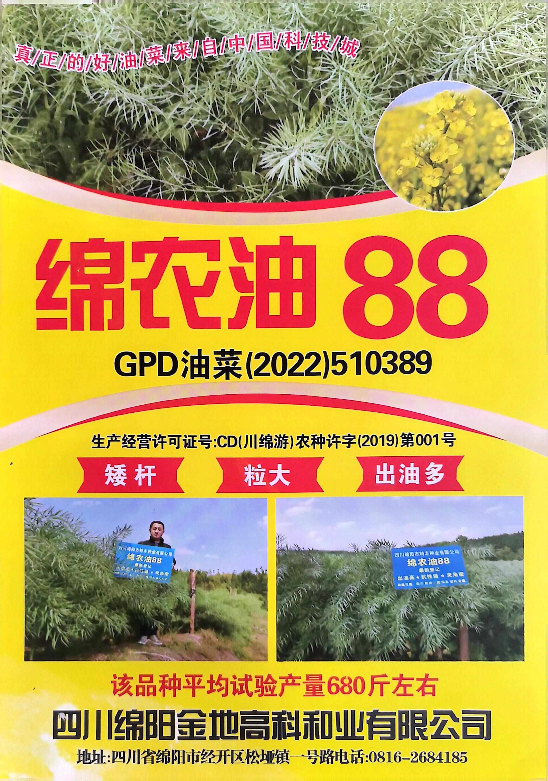 矮杆☆☆粒大☆☆出油多-绵农油88