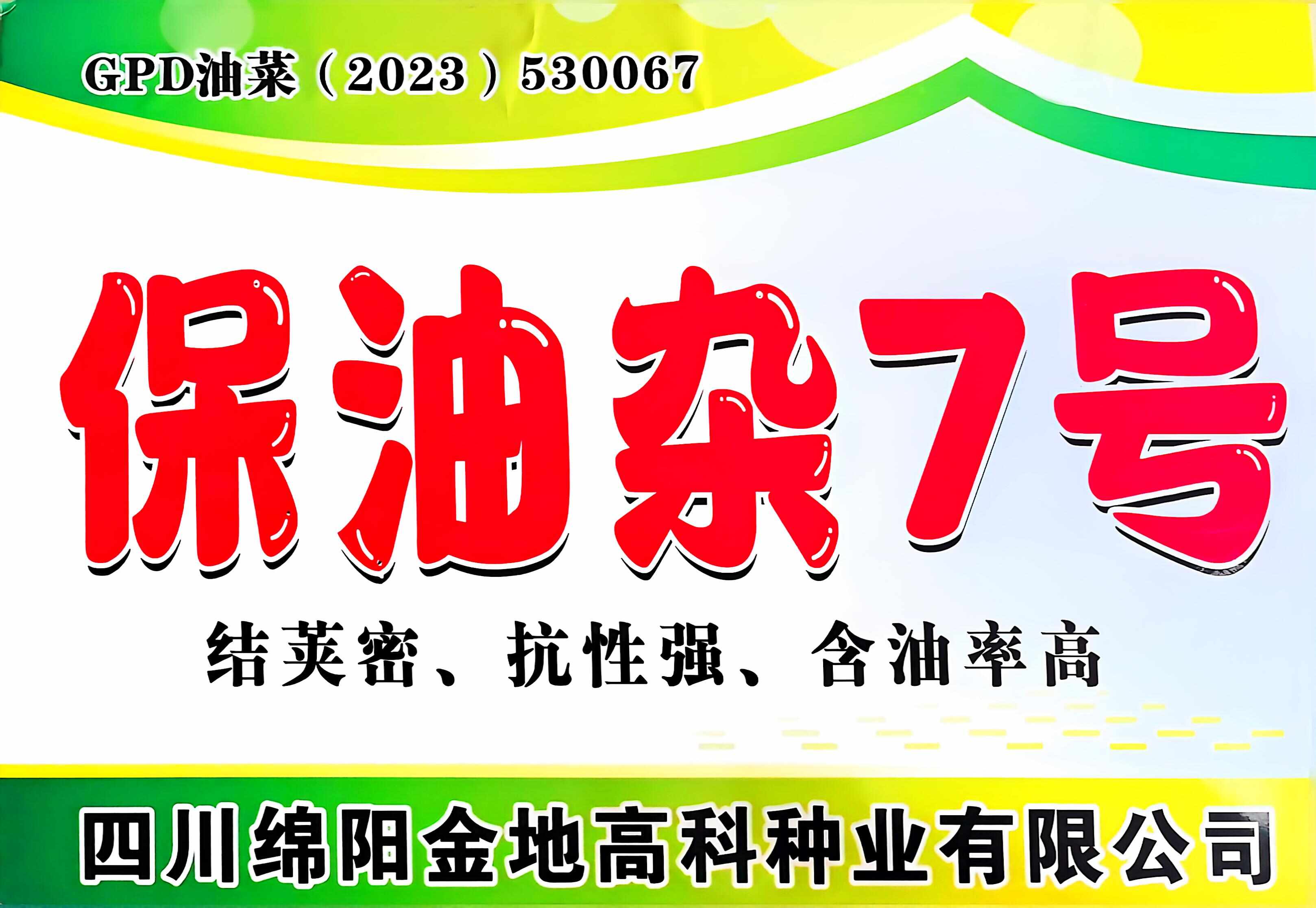 出油率高-丰产性好-保油杂7号