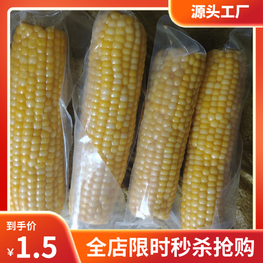 北京北京鲜食糯玉米锁鲜黄糯玉米1小时锁鲜