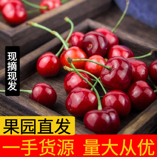 车厘子樱桃脆甜爆汁果肉饱满产地直发新鲜又实惠现摘现发
