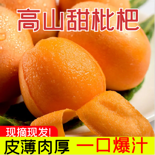 四川大五星琵琶新鲜水果肉甜多汁果园现摘现发批发
