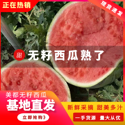 无籽美都西瓜全面上市产地直发