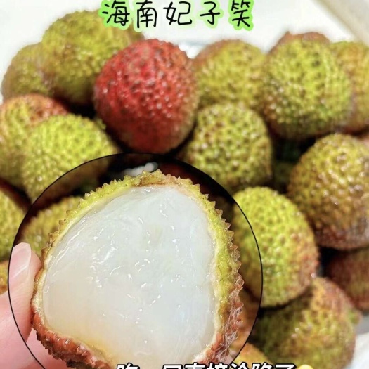 平和县福建妃子笑荔枝当季新鲜水果批发