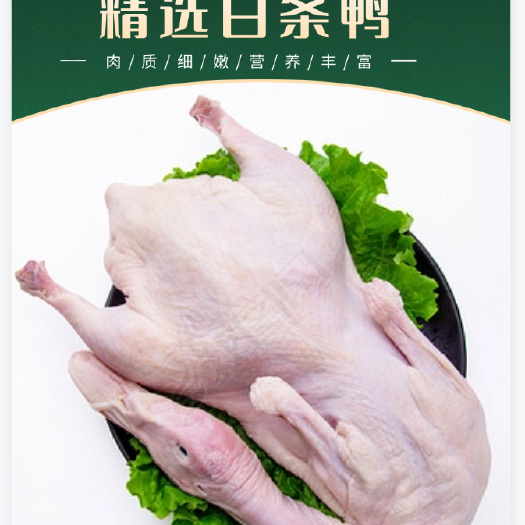 精选白条鸭新鲜现杀整只冷冻白条鸭光鸭广东烧鸭烧腊专用原材