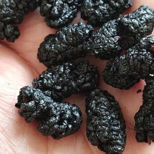 盐边县桑葚黑桑椹干桑椹中药食用泡酒泡茶无沙无染色抖音拼多多货源