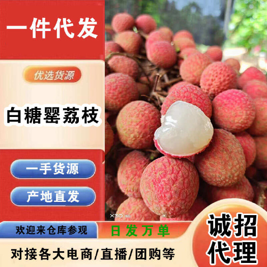 海南白糖罂荔枝一件代发产地直发一手货源对接各大电商平台