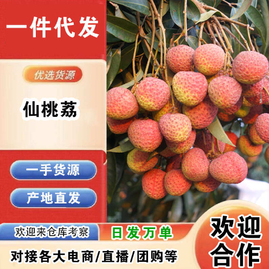 海南仙桃荔一件代发产地直发一手货源对接各大电商平台