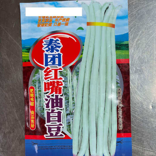 阳春市泰团红嘴油白豆种子双荚率高耐贮运口感好耐热耐寒豇豆种籽蔬菜种