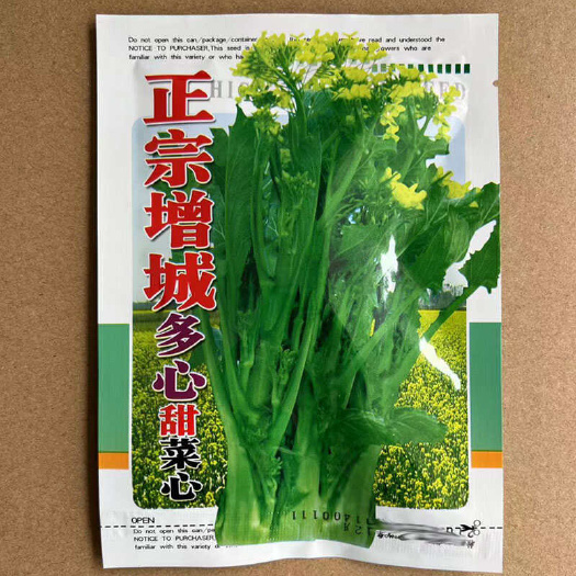 增城多心甜菜心种子味道清甜耐寒可连续采收菜苔粗大阳台盆栽蔬菜