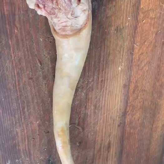 汕头牛尾