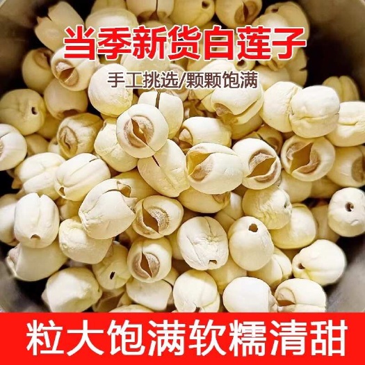 南丰县新鲜广昌白莲500g特级通心莲子农家自产无硫熏干货煲汤伴侣