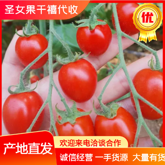 滑县精品圣女果，精品千禧，万亩产地，货源充足！
