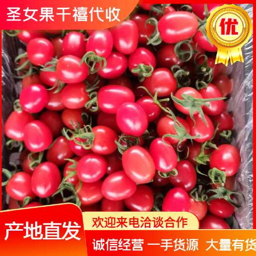千禧果 大量上市中，品种有T7,6号，新鲜采摘