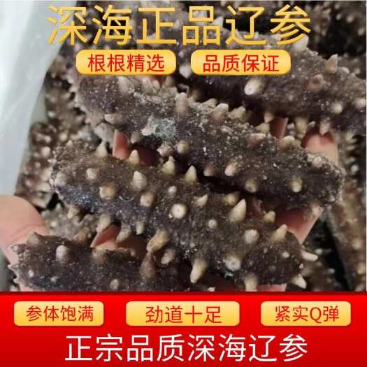 滨州海参辽参刺参批发规格齐全，8头～30头