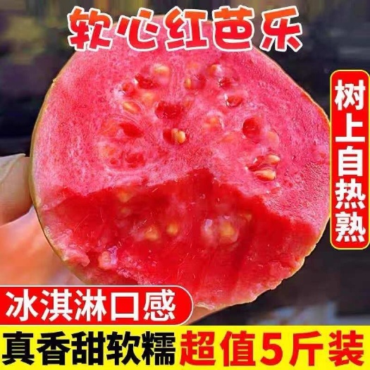 兴业县广西软糯红心芭乐5斤新鲜水果番石榴脆甜软糯胭脂红巴乐