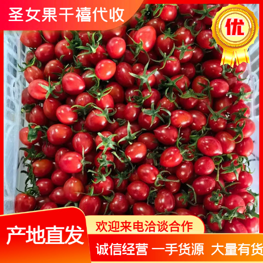 滑县新鲜釜山88精品 甜糯可口 口口爆浆
