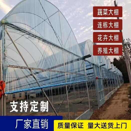 沭阳县热镀锌温室大棚骨架钢管定制全套养殖种植家用水果蔬菜椭圆连栋棚