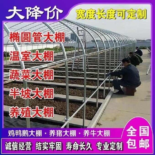 沭阳县热镀锌温室大棚骨架钢管定制全套养殖种植家用水果蔬菜椭圆连栋棚