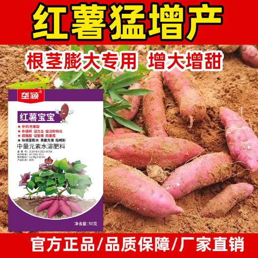 正品红薯宝宝控旺膨大素地瓜红苕增甜增产防裂补钙补镁专用叶面肥