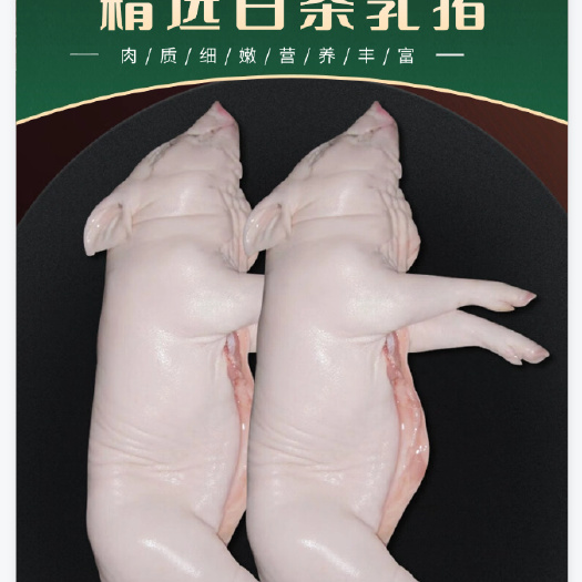 精选乳猪烤乳猪整只现杀新鲜小乳猪酒店食材广东特色脆皮乳猪