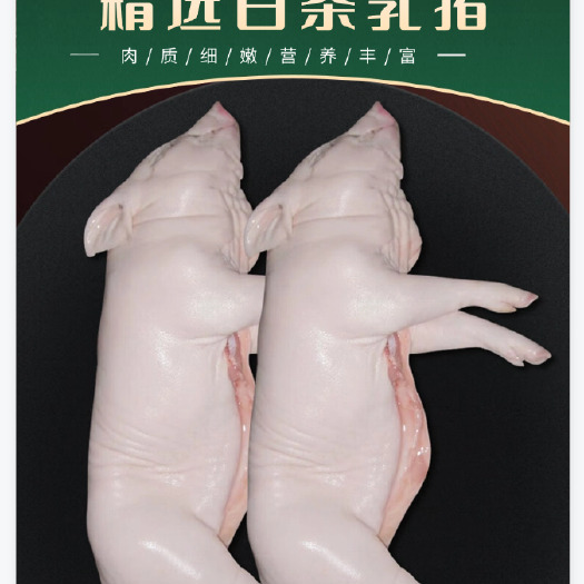 佛山精选乳猪烤乳猪整只现杀新鲜小乳猪酒店食材广东特色脆皮乳猪