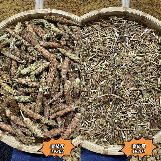 昆明夏枯花 夏枯球夏枯草纯穗 优质正品