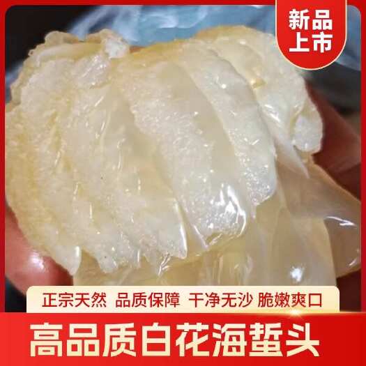 滨州海蜇海蜇头白花海蜇头批发盐渍凉拌货源充足